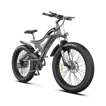 Erős Hatalom Teljes Felfüggesztés Off Road 48V 750W Dirt Elektromos Kövér Gumiabroncs Bike Kerékpár
