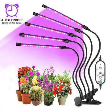 Nő LED Lámpa USB Növény Lámpa Teljes Spektrumú Kertészeti Phytolamp A Vezérlés Beltéri Termesztés Növény-Virágzás
